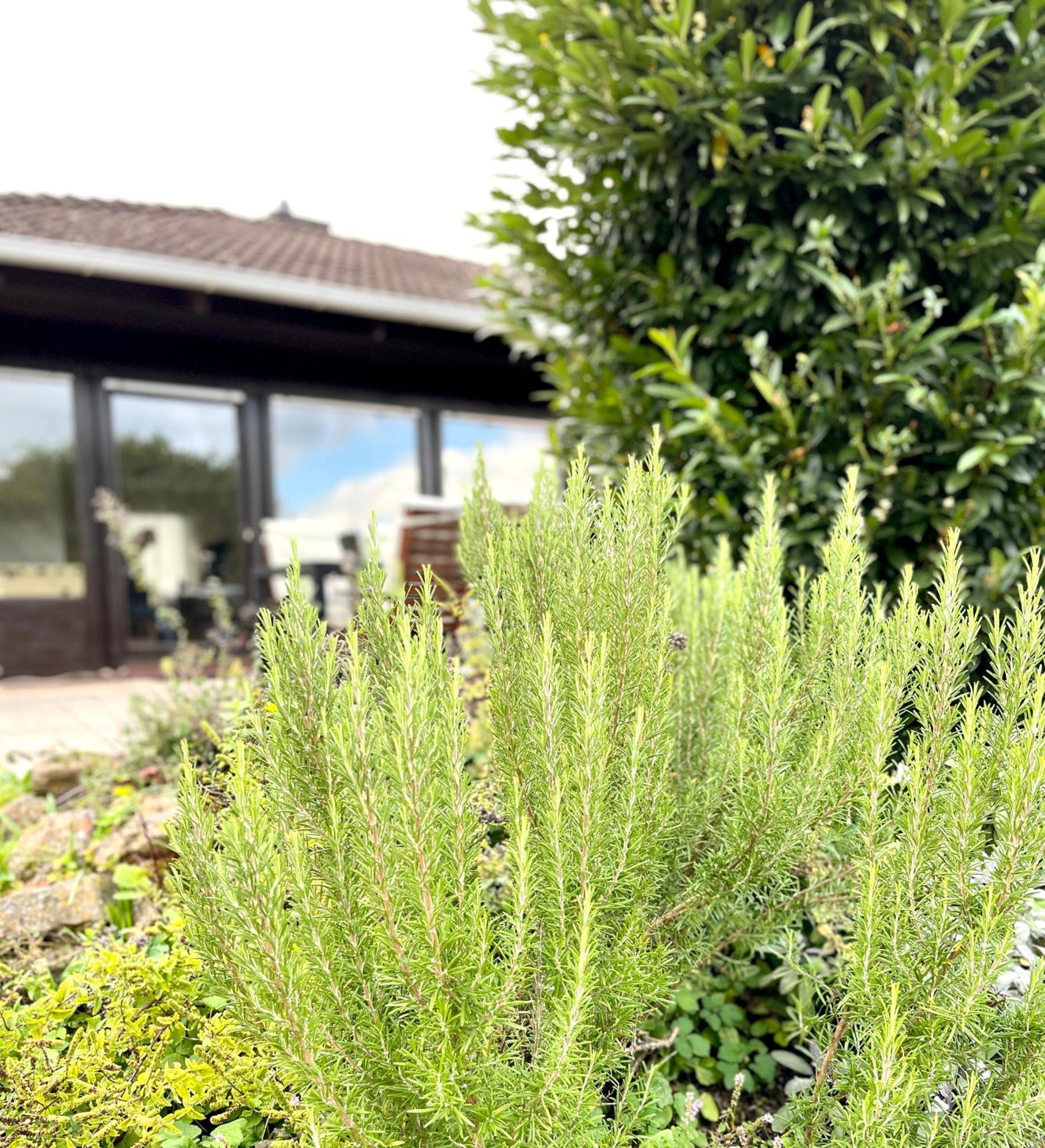 Ferienhaus Weinbergblick - Nahe Wuerzburg - 2 Schlafzimmer - Familienfreundlich - Terrasse Unterleinach 外观 照片