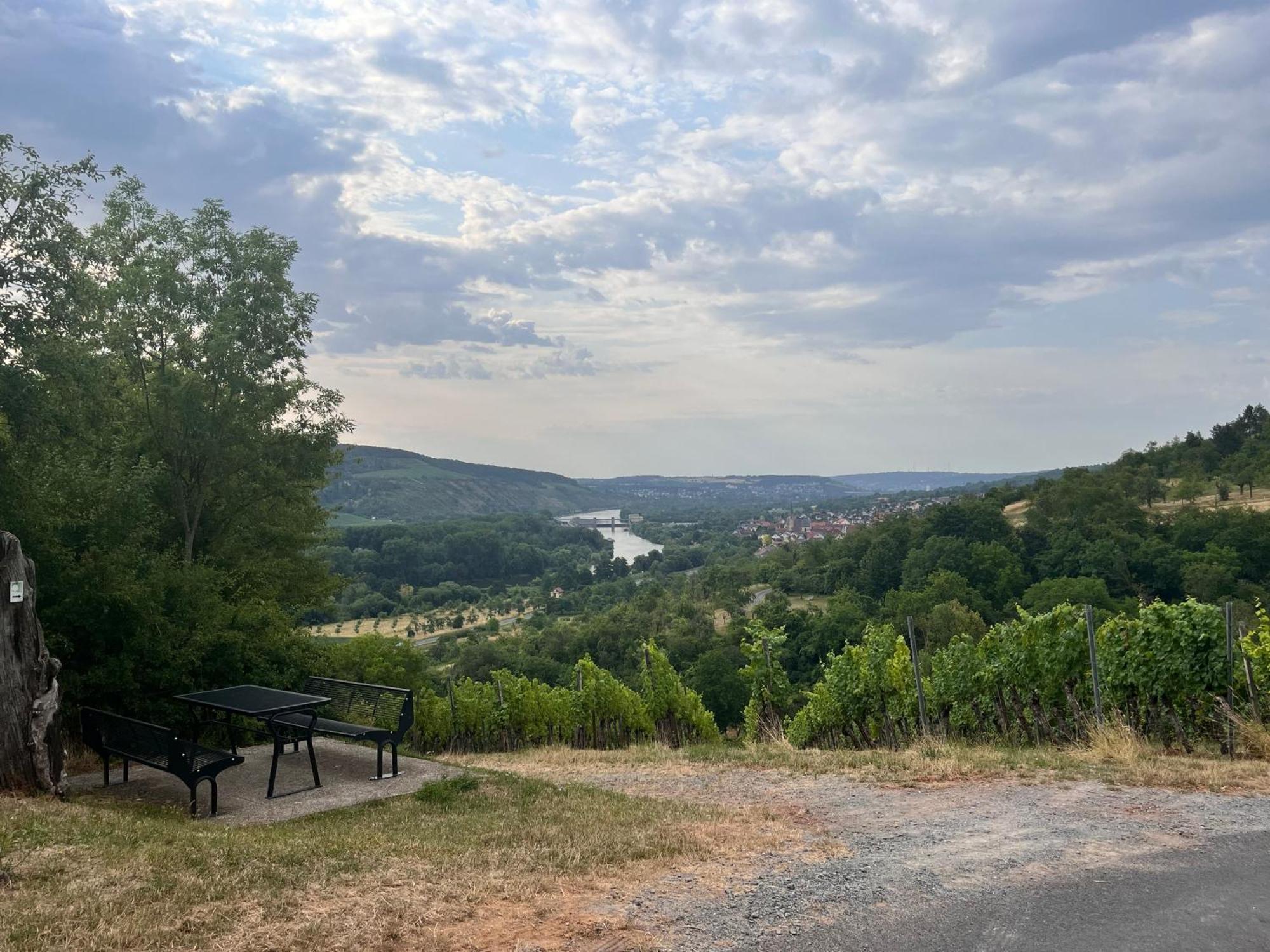Ferienhaus Weinbergblick - Nahe Wuerzburg - 2 Schlafzimmer - Familienfreundlich - Terrasse Unterleinach 外观 照片
