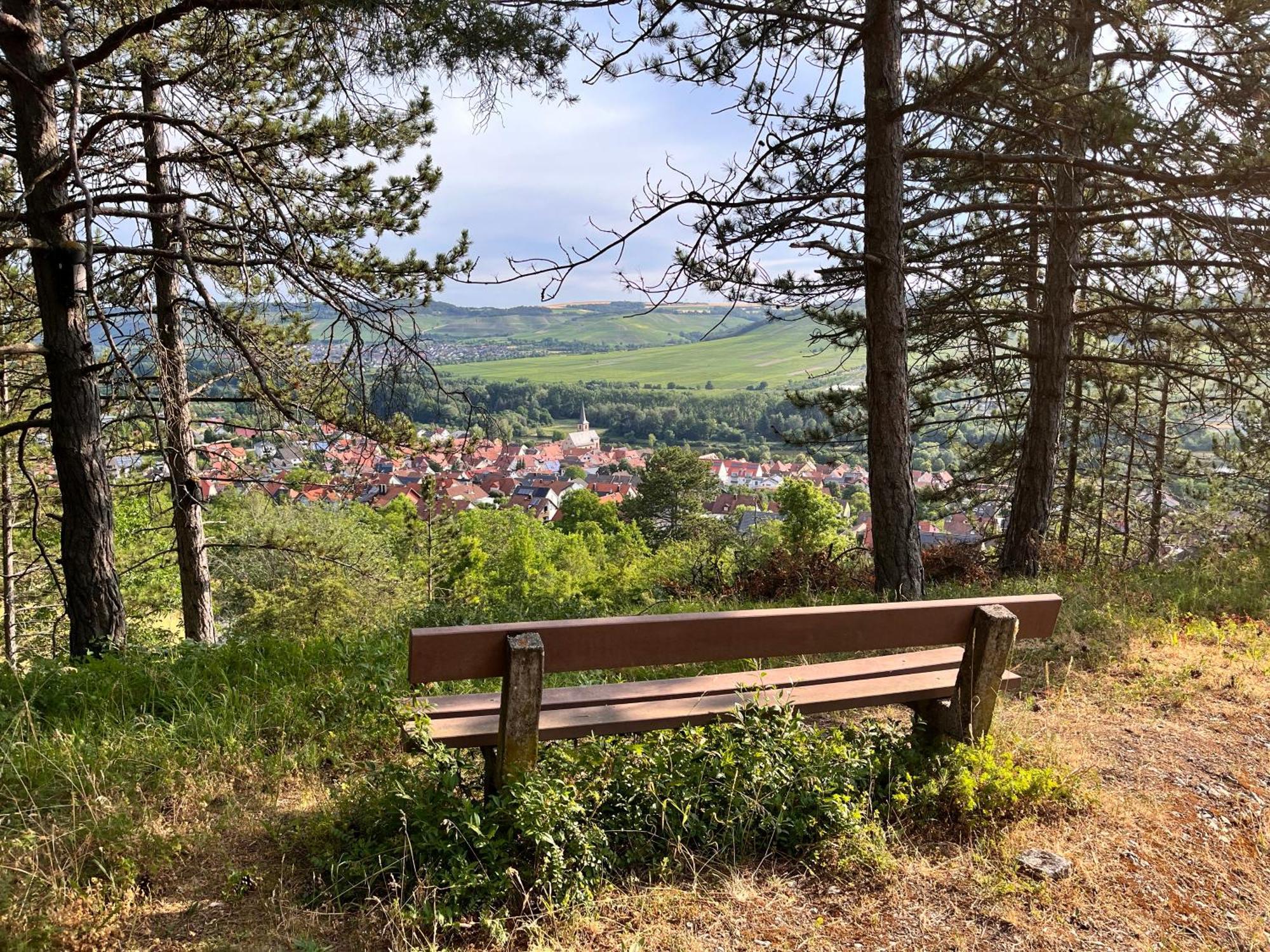 Ferienhaus Weinbergblick - Nahe Wuerzburg - 2 Schlafzimmer - Familienfreundlich - Terrasse Unterleinach 外观 照片
