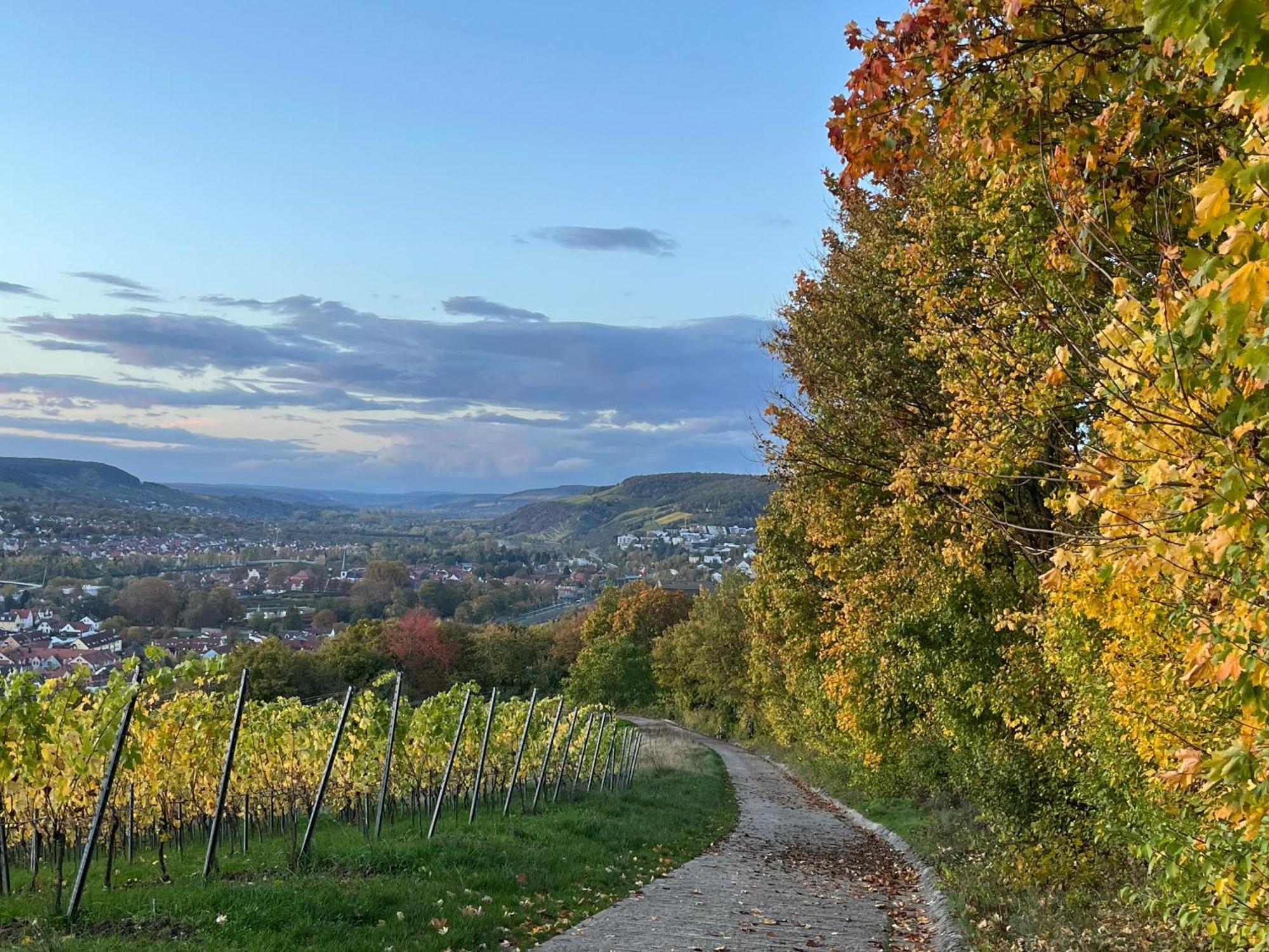 Ferienhaus Weinbergblick - Nahe Wuerzburg - 2 Schlafzimmer - Familienfreundlich - Terrasse Unterleinach 外观 照片
